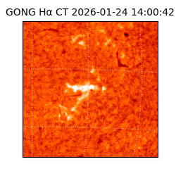 gong - 2026-01-24T14:00:42