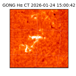 gong - 2026-01-24T15:00:42