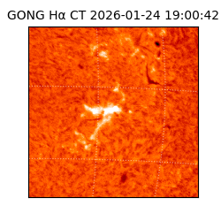 gong - 2026-01-24T19:00:42