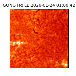 gong - 2026-01-24T01:00:42