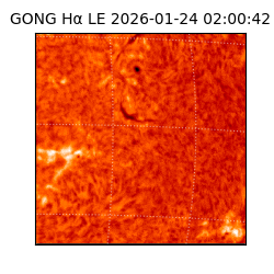 gong - 2026-01-24T02:00:42