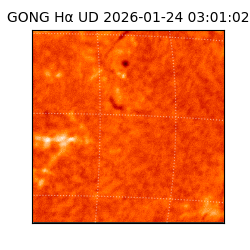 gong - 2026-01-24T03:01:02