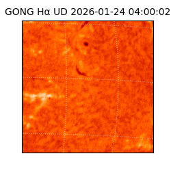 gong - 2026-01-24T04:00:02