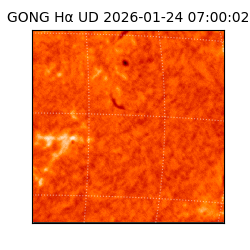 gong - 2026-01-24T07:00:02