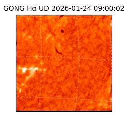 gong - 2026-01-24T09:00:02