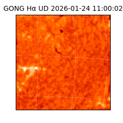 gong - 2026-01-24T11:00:02