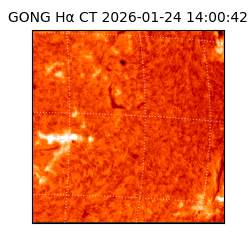 gong - 2026-01-24T14:00:42