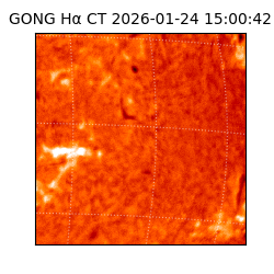 gong - 2026-01-24T15:00:42