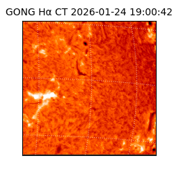 gong - 2026-01-24T19:00:42