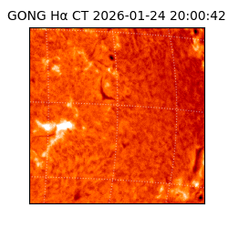 gong - 2026-01-24T20:00:42