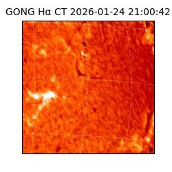 gong - 2026-01-24T21:00:42