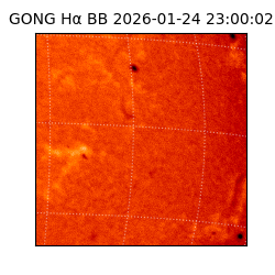 gong - 2026-01-24T23:00:02