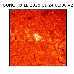 gong - 2026-01-24T01:00:42