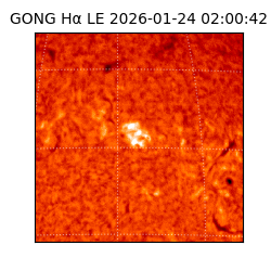 gong - 2026-01-24T02:00:42