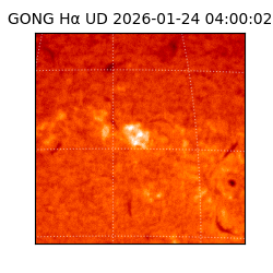 gong - 2026-01-24T04:00:02