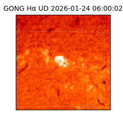 gong - 2026-01-24T06:00:02