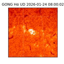 gong - 2026-01-24T08:00:02