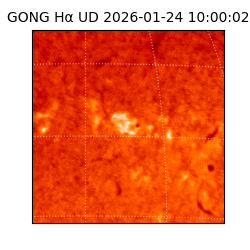 gong - 2026-01-24T10:00:02