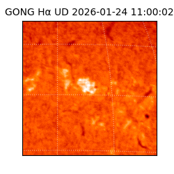 gong - 2026-01-24T11:00:02