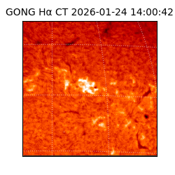 gong - 2026-01-24T14:00:42