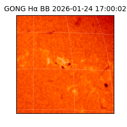 gong - 2026-01-24T17:00:02