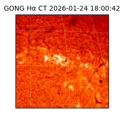gong - 2026-01-24T18:00:42