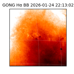 gong - 2026-01-24T22:13:02