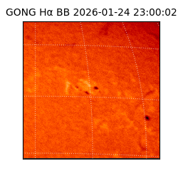 gong - 2026-01-24T23:00:02