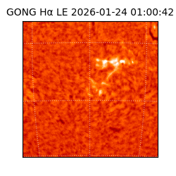 gong - 2026-01-24T01:00:42