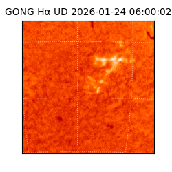 gong - 2026-01-24T06:00:02
