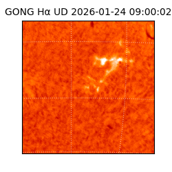 gong - 2026-01-24T09:00:02