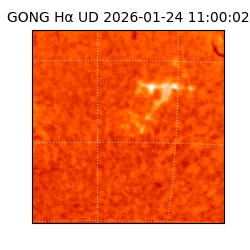 gong - 2026-01-24T11:00:02