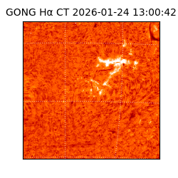 gong - 2026-01-24T13:00:42