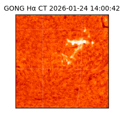 gong - 2026-01-24T14:00:42