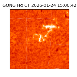 gong - 2026-01-24T15:00:42