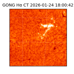 gong - 2026-01-24T18:00:42