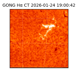 gong - 2026-01-24T19:00:42