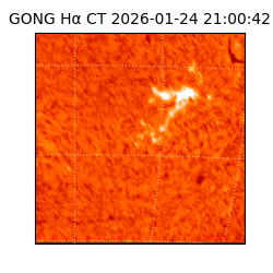 gong - 2026-01-24T21:00:42