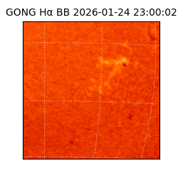 gong - 2026-01-24T23:00:02