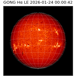gong - 2026-01-24T00:00:42