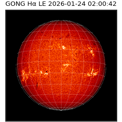 gong - 2026-01-24T02:00:42
