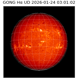 gong - 2026-01-24T03:01:02