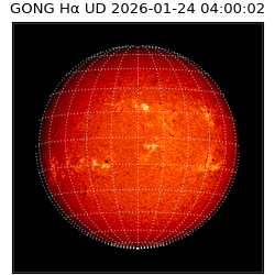 gong - 2026-01-24T04:00:02