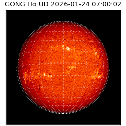 gong - 2026-01-24T07:00:02