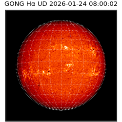 gong - 2026-01-24T08:00:02