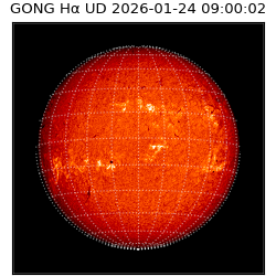 gong - 2026-01-24T09:00:02