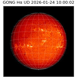 gong - 2026-01-24T10:00:02