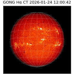 gong - 2026-01-24T12:00:42