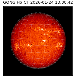 gong - 2026-01-24T13:00:42