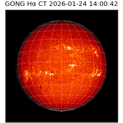 gong - 2026-01-24T14:00:42